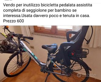 bicicletta pedalata assistita