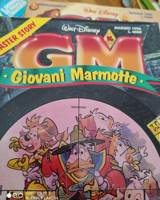 Piccola collezione Giovani Marmotte