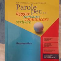 LIBRO LICEO - GRAMMATICA - PAROLE PER...