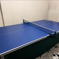 TAVOLO PING PONG