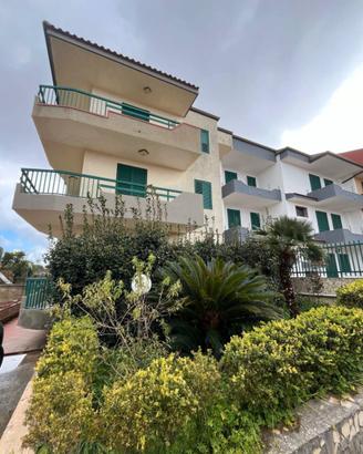Appartamento Arredato vicino Viale delle Americhe