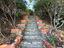 Immagine 10