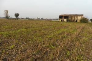 Terreno Agricolo Agugliaro [Cod. rif 3201950VCG]