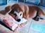 Immagine 1