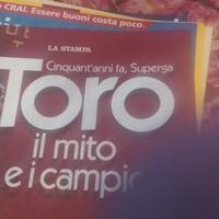 fascicoli del Torino 