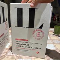 Dizionario latino per superiori