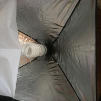 Lampade studio con portalampade e softbox