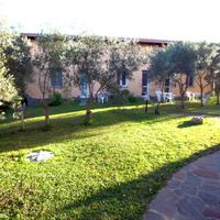 Case vacanza "Gli Ulivi" - Apt.3