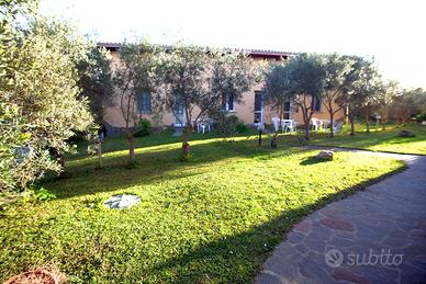 Case vacanza "Gli Ulivi" - Apt.3