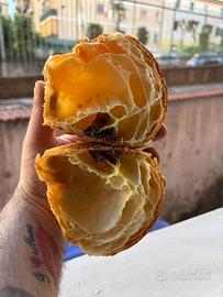 Pasticcere lievitista