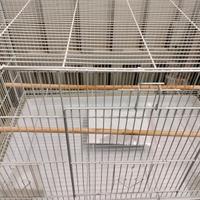 Gabbie per canarini cardellini pappagallini