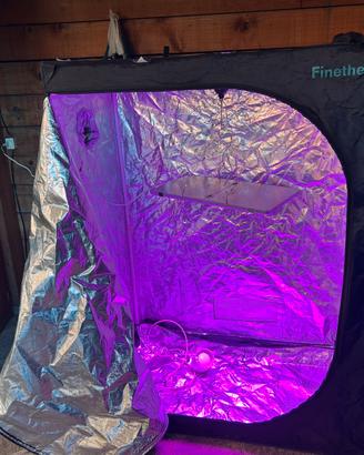 Grow box per 2 piante