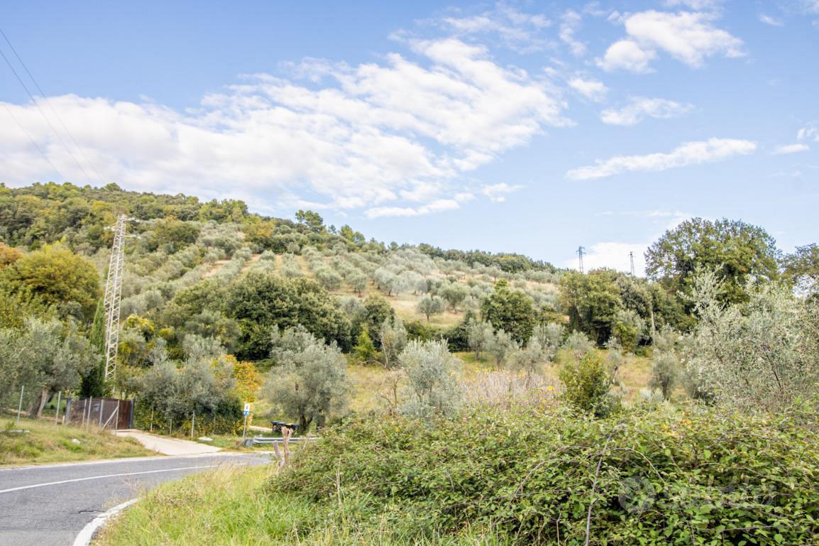 TER. AGRICOLO A TORRI IN SABINA - Vista 2