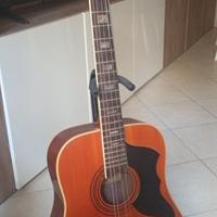 Eco Ranger 12 corde