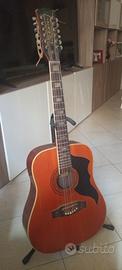 Eco Ranger 12 corde