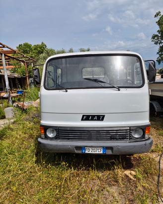 Fiat OM 40