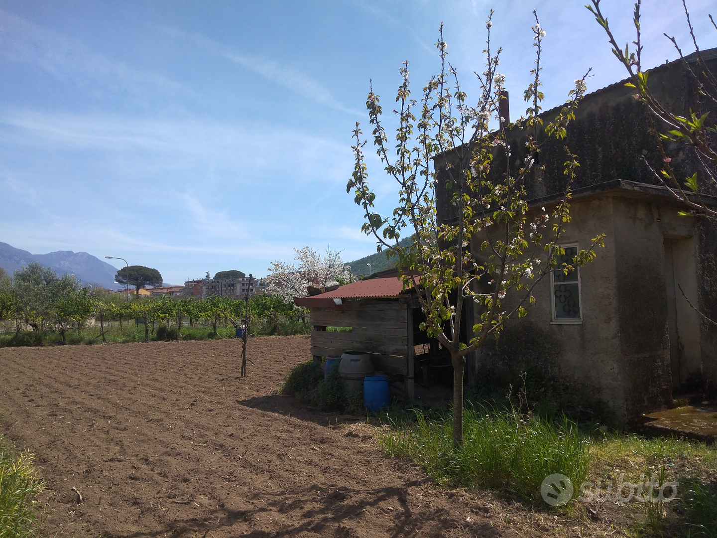 Abitazione con terreno - Vista 4