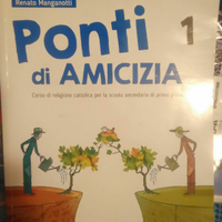 Vari libri scuola media con pieghi di libri