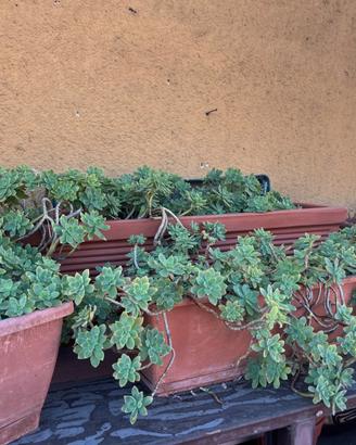 Vasi e materiali da giardino