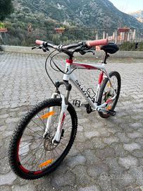 Bici scott
