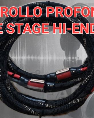 CAVO DI POTENZA PLATINUM DIFFUSORI HI-END HI-RES