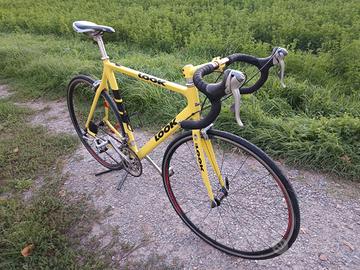 Bicicletta in carbonio
