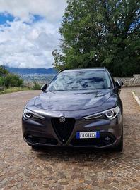 Alfa Romeo Stelvio 2.2 190 CV  B-Tech Q4