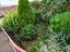 Immagine 12