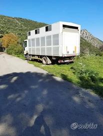 Cassa trasporto cavalli