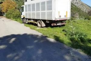 Cassa trasporto cavalli