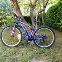 MTB misura ruote da 29 "
