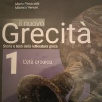 libri testo liceo / superiori