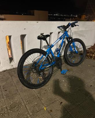 Bici normale