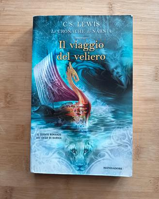 Il viaggio del veliero 