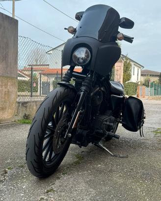 HD sportster 883 iron