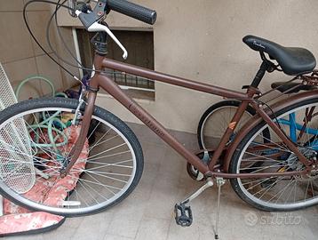 Bicicletta
