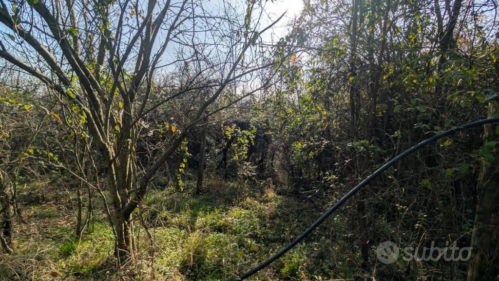 Terreno di 10000 m² a Arzignano - Vista 4