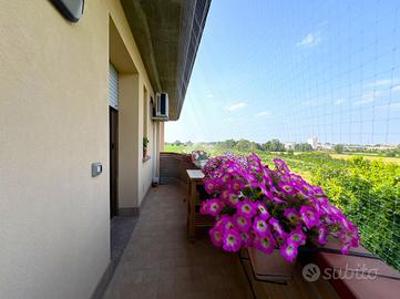 3 LOCALI A MIRANDOLA