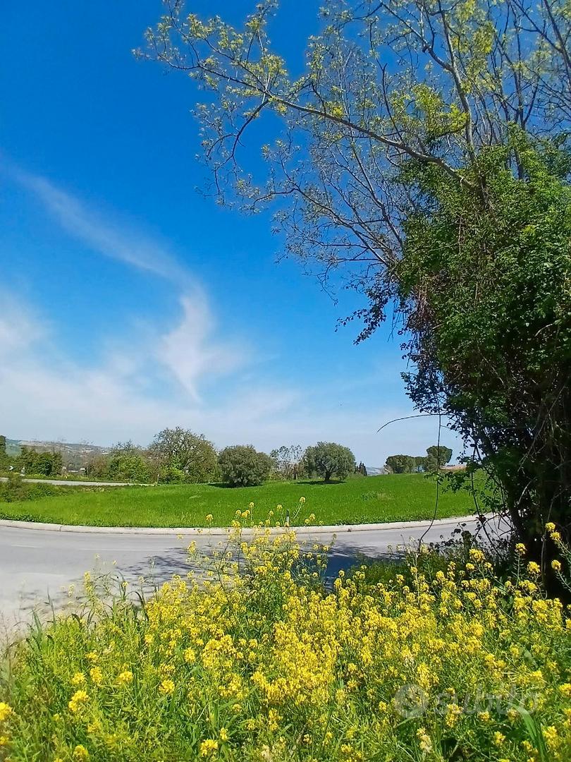 TERRENO AGRICOLO A 3 KM DA MACERATA - 1,2 ettari - Altro