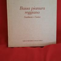 La pianura reggiana di Cervi