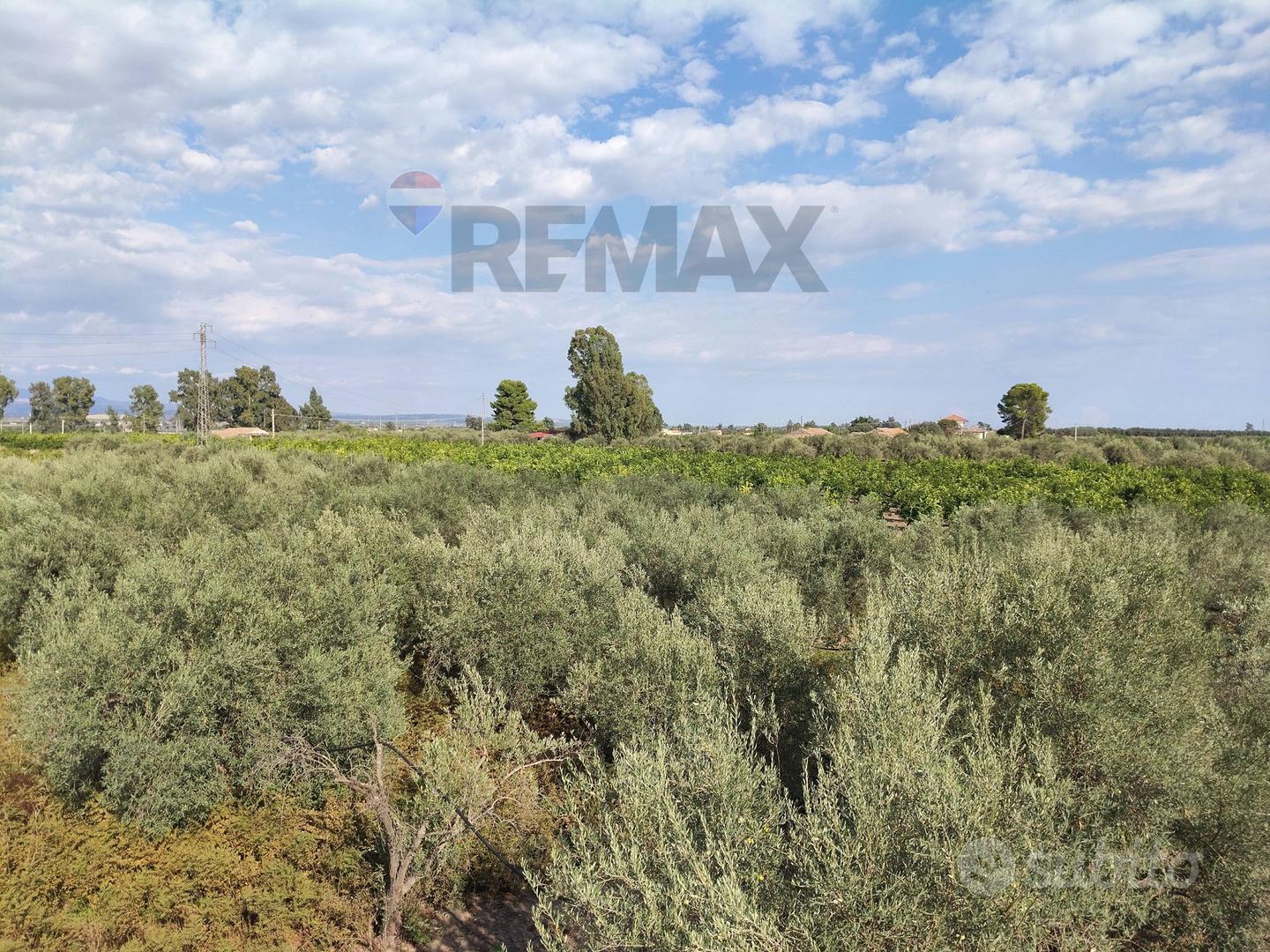 Terreno - Ramacca - Vista 4