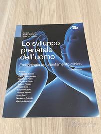 Lo sviluppo prenatale dell'uomo - Embriologia