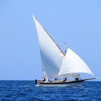 barca a vela - gozzo vela latina