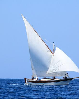 barca a vela - gozzo vela latina