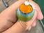 Immagine 1