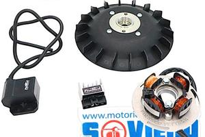 Accensione Elettronica Pinasco Vespa PX PE 1.7kg