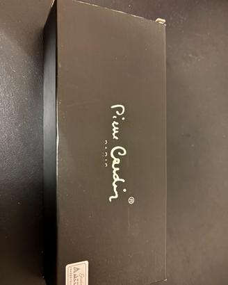 Penna pierre cardin