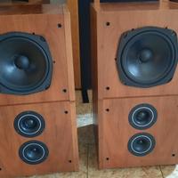 diffusori dynaudio MSP 200