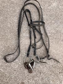 Finimenti equitazione