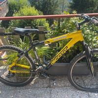 Bici Scott 